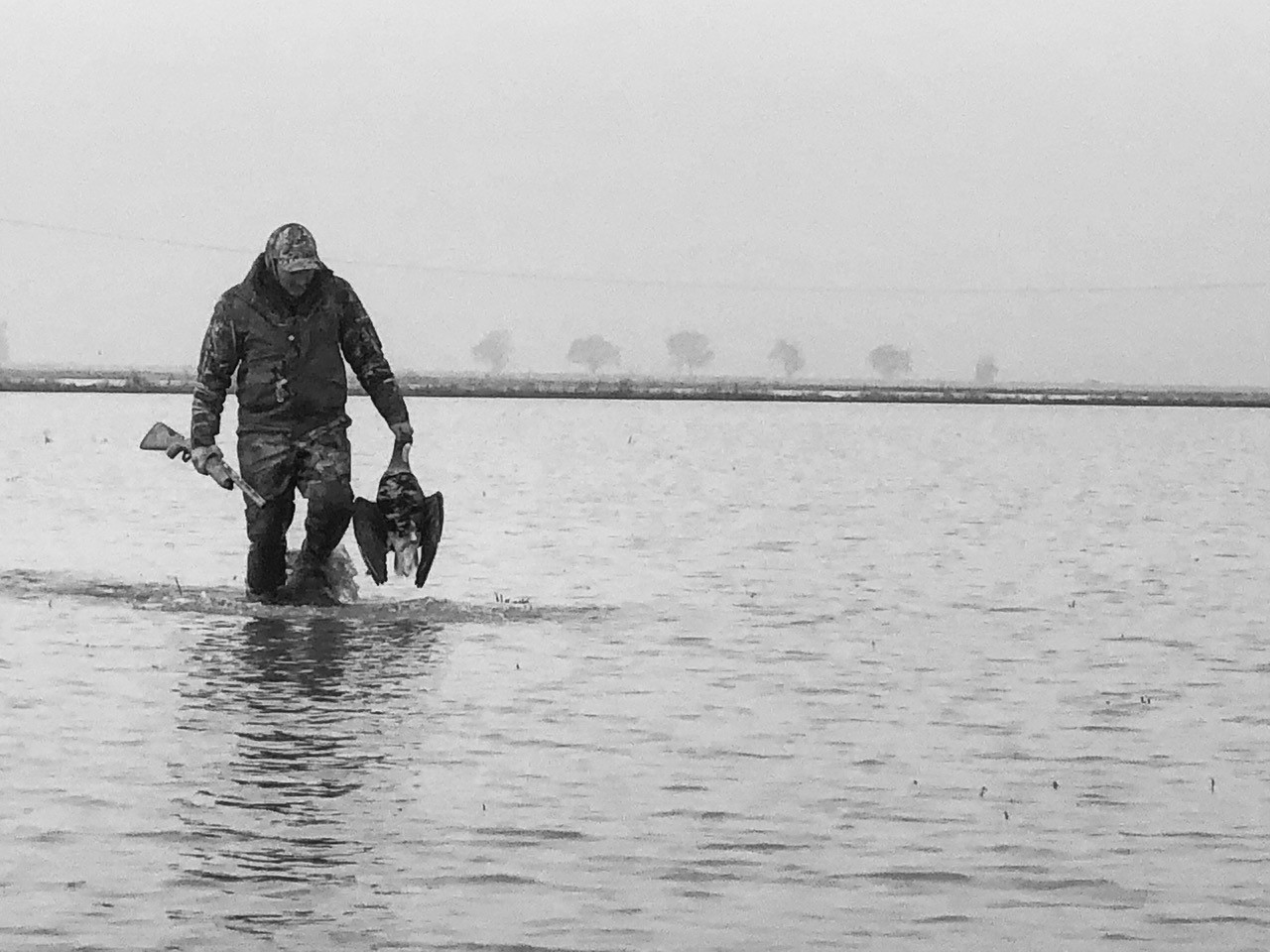 Goose Hunting